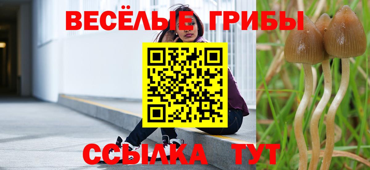 Псилоцибиновые грибы ЛСД  Галлюциногенные грибы ЛСД  Вход с VPN  Донецк 